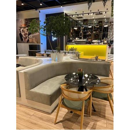 Armoni Sedir Takımı