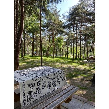 Gül Duvar Dekor Örtüsü